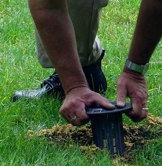 insect baiting